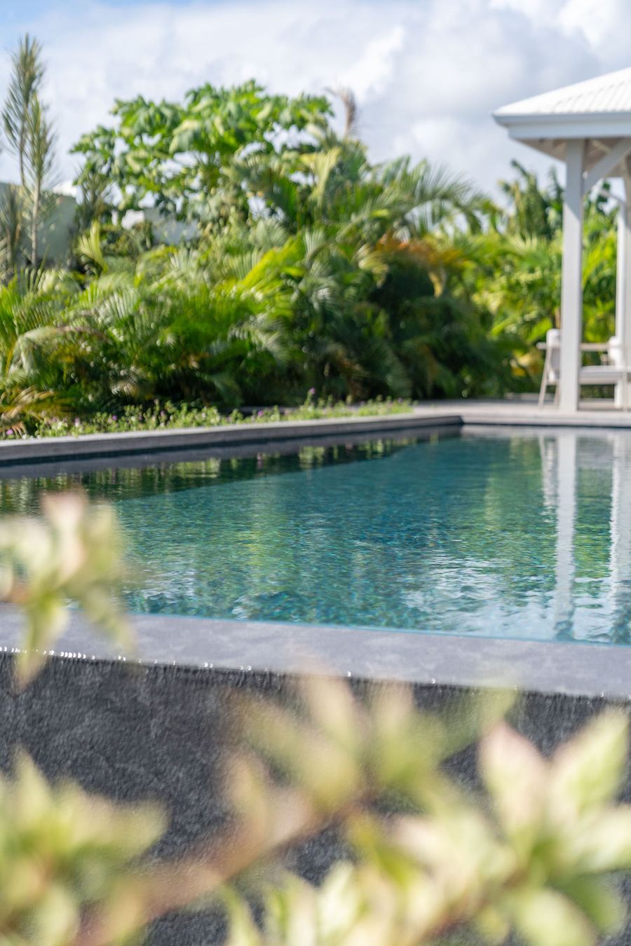 La piscine entre les palmiers — Villa Chablis, Saint-François, Guadeloupe